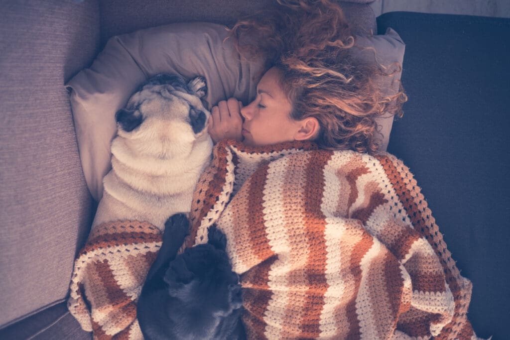 Woman sleep cuddling with her Pug dogs