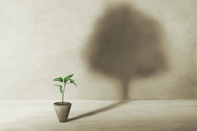little sprout with shadow of giant tree