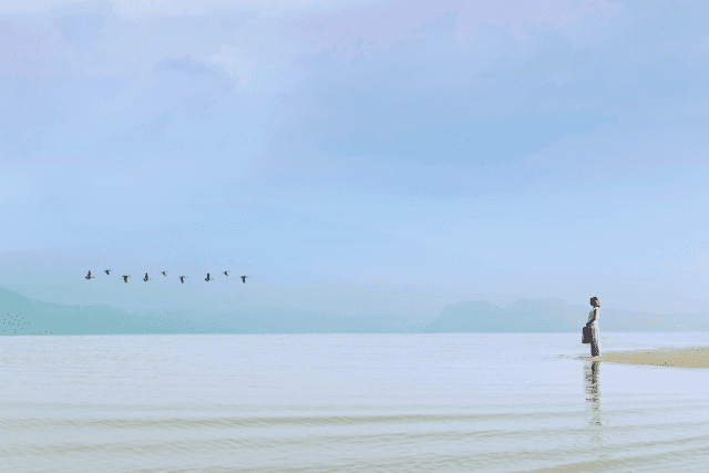 woman standing at shoreline watching birds in flight