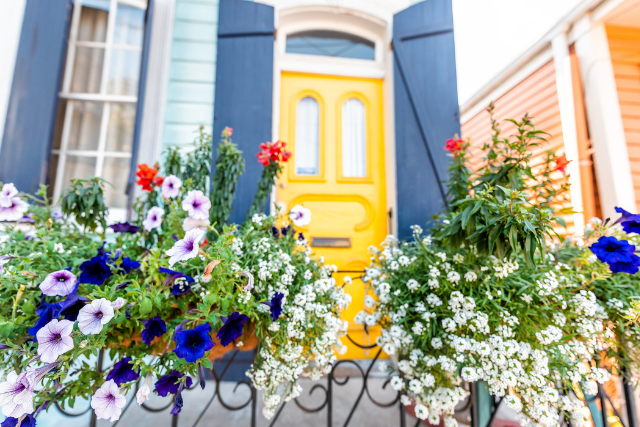 front door flowers