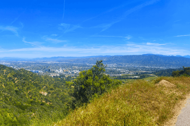 overview landscape of Westside Los Angeles
