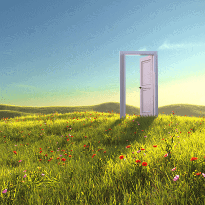 A white door stands open in the middle of a green field with wildflowers under a clear blue sky.