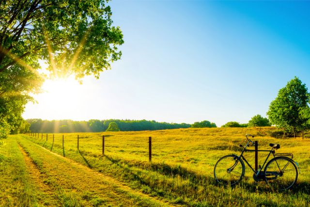 Scenic rural landscape with a bicycle, trees, and sunrise over fields.